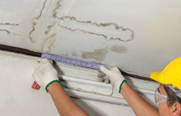 Reliable Water Damage contractor in Wellington, KS by Water Damage Irwin